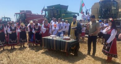 Чакат по-слаба реколта от жито в Димитровградско