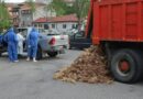 Камион разсипа мъртви птици в Хасково