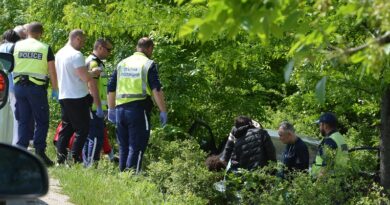 Мигранти катастрофираха между Хасково и Димитровград