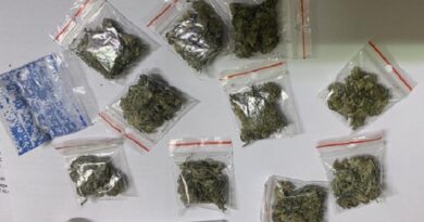 Намериха половин кило дрога в Свиленградско