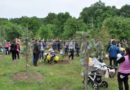 60 семейства засаждат дръвчета в Димитровград